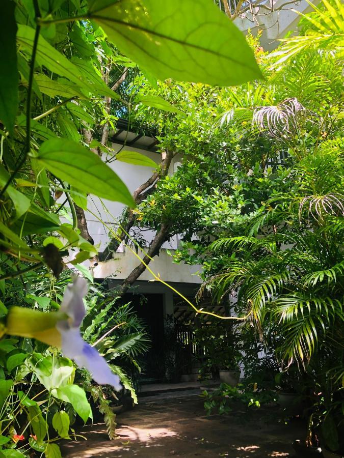 Tinara River Inn, Weligama Exterior photo